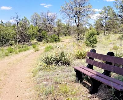 echo-bench
