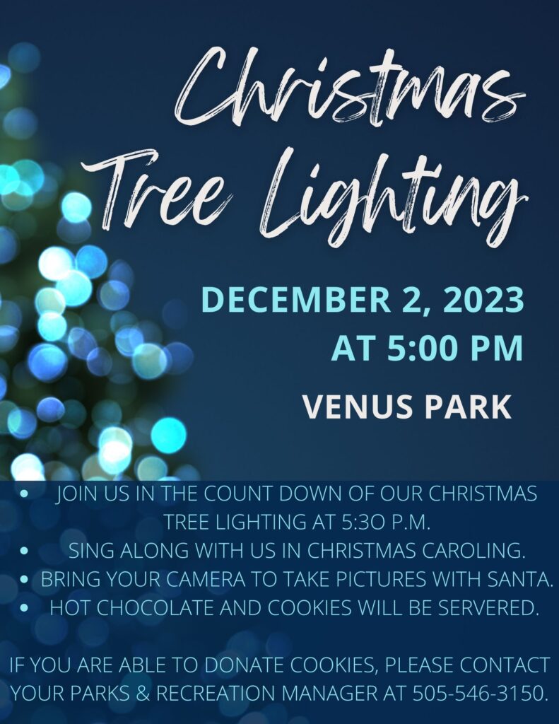 Blue White Elegant Photo Christmas Tree Lighting Ceremony Event Flyer (1)